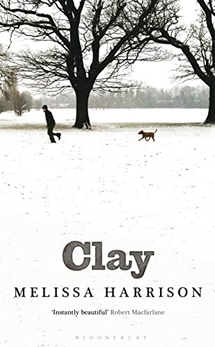 Beispielbild fr Clay zum Verkauf von WorldofBooks