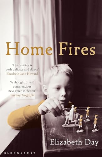 9781408828670: Home Fires