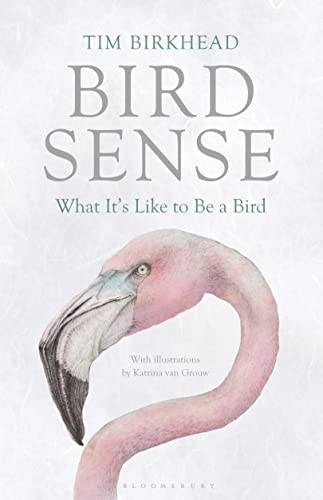 Stock image for Bird Sense for sale by Blackwell's