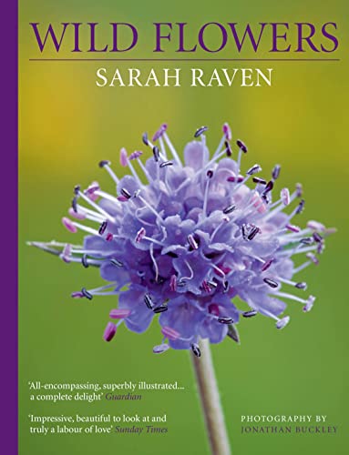 Stock image for Sarah Raven's Wild Flowers for sale by WorldofBooks