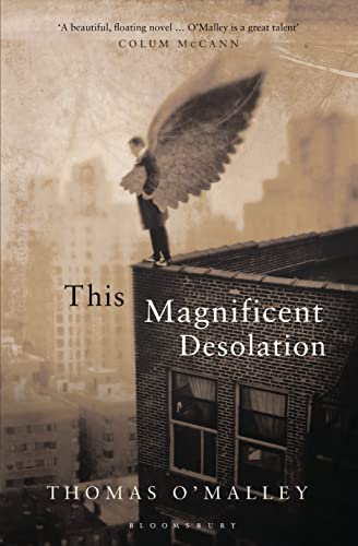 Stock image for This Magnificent Desolation for sale by AwesomeBooks