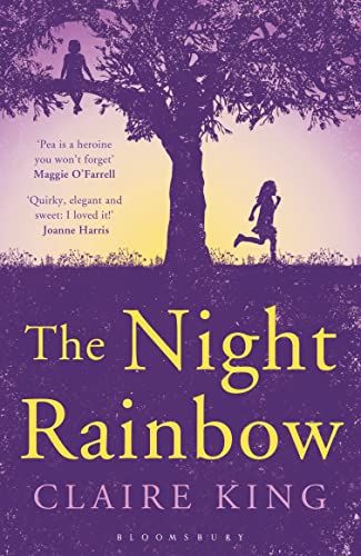 Stock image for The Night Rainbow for sale by Better World Books