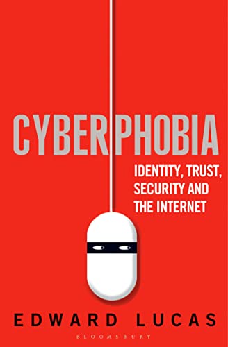 Beispielbild fr Cyberphobia: Identity, Trust, Security and the Internet zum Verkauf von WeBuyBooks