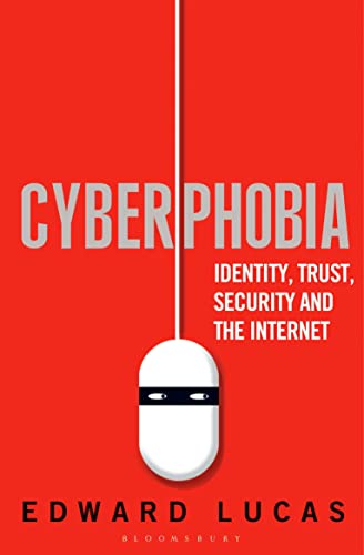 9781408850152: Cyberphobia: Identity, Trust, Security and the Internet