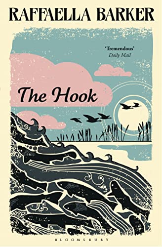 9781408850732: The Hook