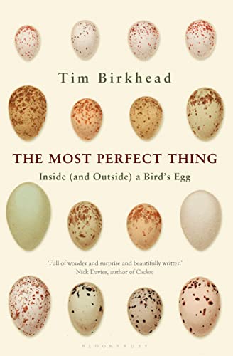 Beispielbild fr The Most Perfect Thing: Inside (and Outside) a Bird  s Egg zum Verkauf von WorldofBooks