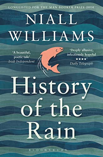 9781408852057: History Of The Rain: Longlisted for the Man Booker Prize 2014