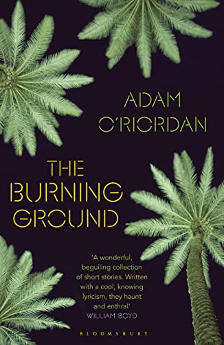 Stock image for The Burning Ground for sale by WorldofBooks