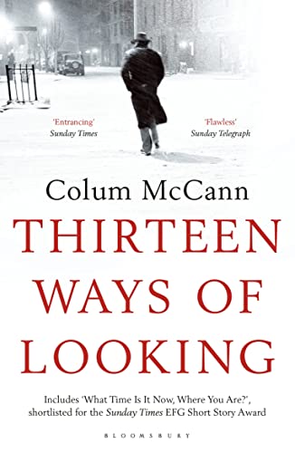 9781408869857: Thirteen Ways of Looking