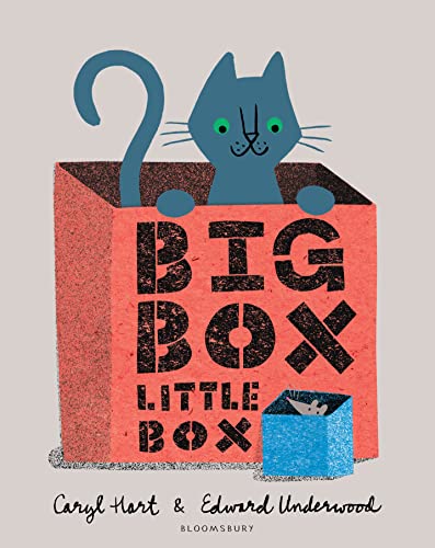 Stock image for Big Box Little Box for sale by WorldofBooks
