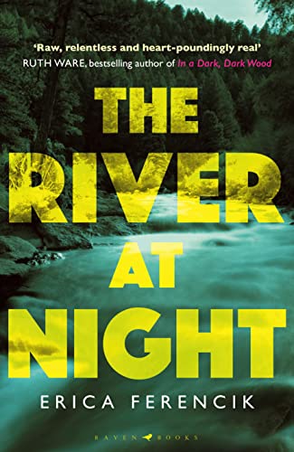 9781408886571: The River at Night: A Taut and Gripping Thriller