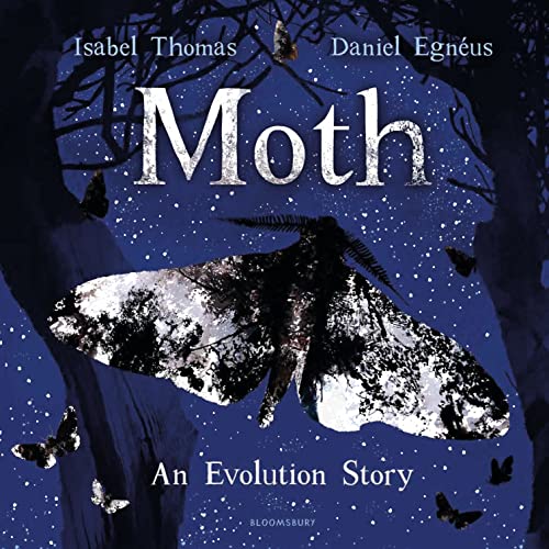 Imagen de archivo de Moth: An Evolution Story a la venta por Bahamut Media