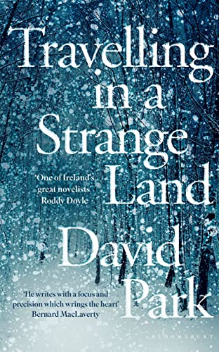 9781408892787: Travelling in a Strange Land: Winner of the Kerry Group Irish Novel of the Year