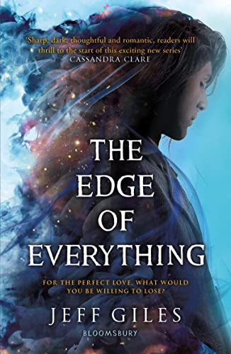 9781408897324: The Edge of Everything
