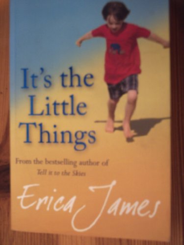 Imagen de archivo de It's The Little Things a la venta por AwesomeBooks