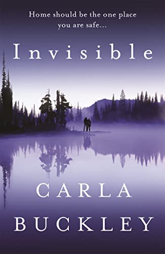 Stock image for Invisible for sale by Goldstone Books