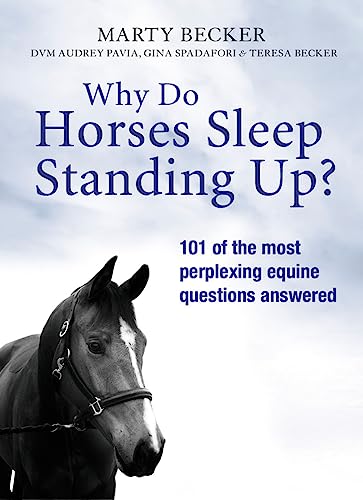 Imagen de archivo de Why Do Horses Sleep Standing Up? a la venta por AwesomeBooks