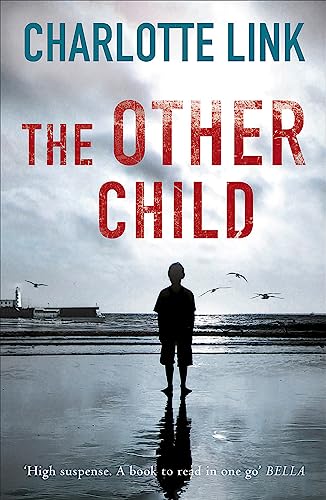 Imagen de archivo de The Other Child a la venta por Better World Books: West
