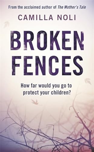Beispielbild fr Broken Fences zum Verkauf von WorldofBooks