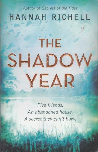 9781409127956: The Shadow Year