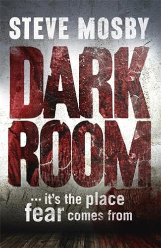 9781409137603: Dark Room