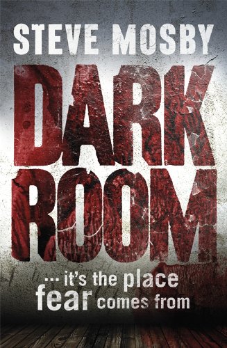 9781409139324: Dark Room