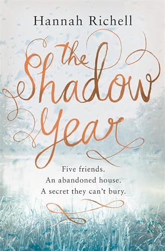 9781409142980: The Shadow Year