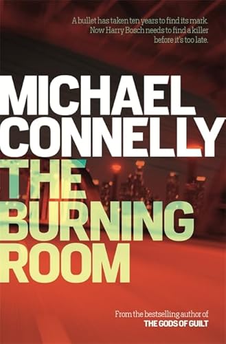 9781409145516: The Burning Room