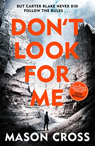 9781409159698: Don't Look For Me: Carter Blake Book 4