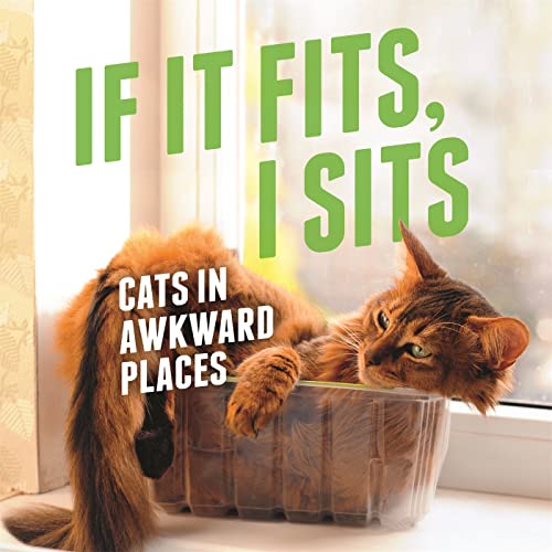 Beispielbild fr If It Fits, I Sits: Cats in Awkward Places zum Verkauf von WorldofBooks