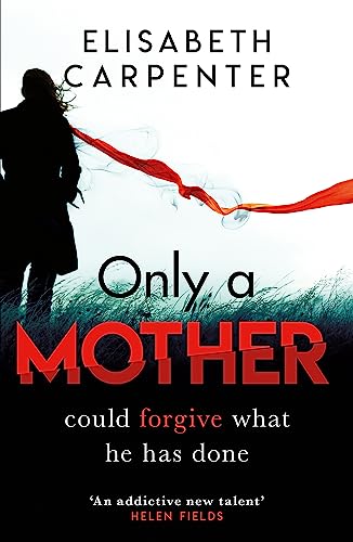 9781409181477: Only a Mother: A gripping psychological thriller with a shocking twist