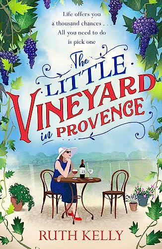 Stock image for The Little Vineyard in Provence for sale by Blackwell's