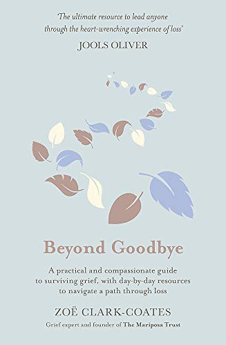 Imagen de archivo de Beyond Goodbye: A practical and compassionate guide to surviving grief, with day-by-day resources to navigate a path through loss a la venta por MusicMagpie