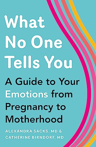 Imagen de archivo de What No One Tells You: A Guide to Your Emotions from Pregnancy to Motherhood a la venta por AwesomeBooks