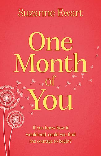 9781409194378: One Month of You