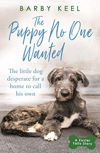 9781409194699: The Puppy No One Wanted: The young dog desperate for a home to call his own (A Foster Tails Story)