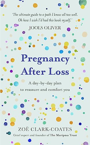 9781409195948: Pregnancy After Loss: A day-by-day plan to reassure and comfort you