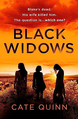 Beispielbild fr Black Widows zum Verkauf von WorldofBooks