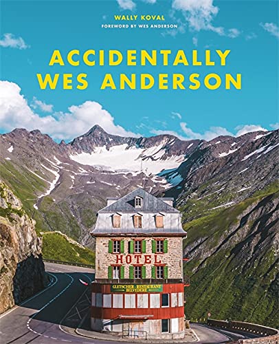 9781409197393: Accidentally Wes Anderson: Accidentaly