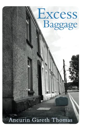 Imagen de archivo de Excess Baggage a la venta por WorldofBooks