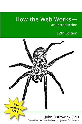 9781409256519: How the Web Works: An Introduction