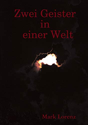 Stock image for Zwei Geister in einer Welt (German Edition) for sale by Lucky's Textbooks