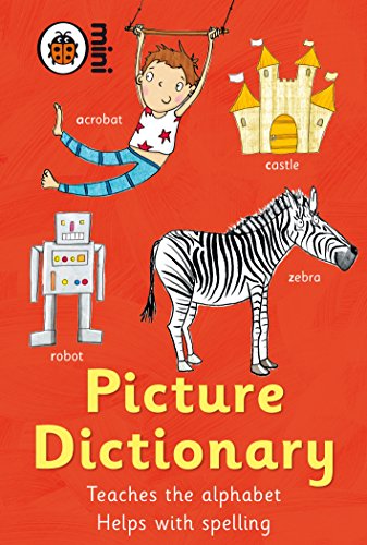 9781409302216: Picture Dictionary