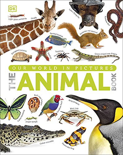Imagen de archivo de The Our World in Pictures The Animal Book: A Visual Encyclopedia of Life on Earth (DK Our World in Pictures) a la venta por WorldofBooks