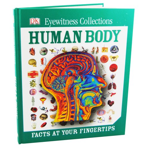 Beispielbild fr DK Human Body zum Verkauf von AwesomeBooks