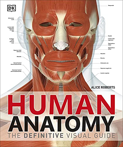 Beispielbild fr Human Anatomy: The Definitive Visual Guide (DK Human Body Guides) zum Verkauf von WorldofBooks