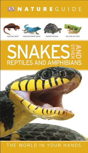 9781409353027: Nature Guide Snakes and Other Reptiles and Amphibians: The World in Your Hands (DK Nature Guide)
