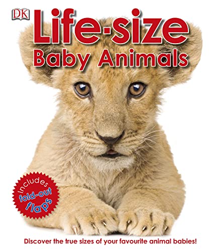 Beispielbild fr Life-Size Baby Animals zum Verkauf von AwesomeBooks