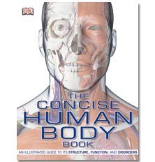 Stock image for The Concise Human Body Book [Paperback] by DK for sale by WorldofBooks