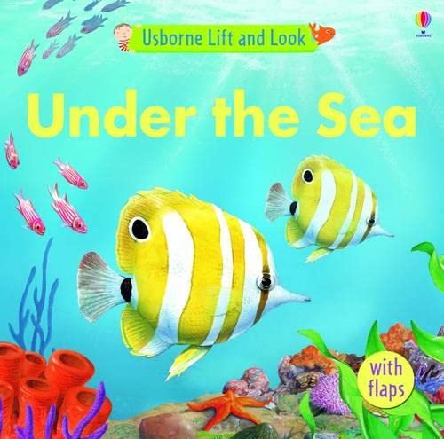 9781409501176: Lift and Look Under the Sea